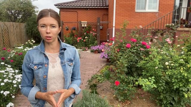 ОСЕННИЙ УХОД ЗА РОЗАМИ: подкормки, обработки, обрезка. Ошибки садоводов и обязательные мероприятия смотреть онлайн