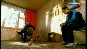 Сериал Бригада 2 СЕРИЯ / САША БЕЛЫЙ ЗАВОДИТ СОБАКУ ПОРОДЫ МАСТИФ / Короткий #ТопМомент