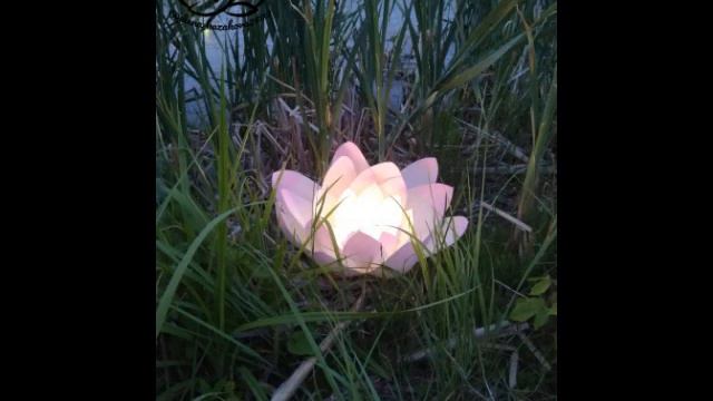 Лотос смотреть онлайн