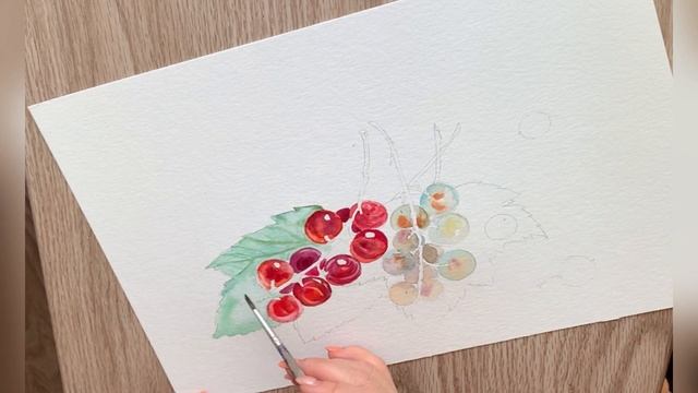 Смородина - процесс выполнения акварели. Художник Татьяна Устьянцева. смотреть онлайн