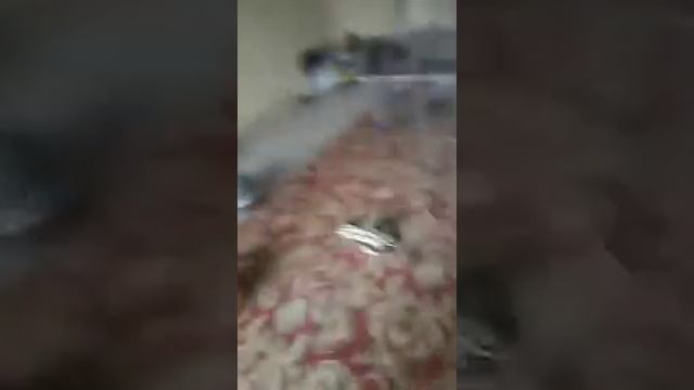 Самодельный циклон из ведер и фильтра от газели. смотреть онлайн