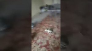 Самодельный циклон из ведер и фильтра от газели.