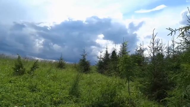Володя Фарт «Тайга» смотреть онлайн