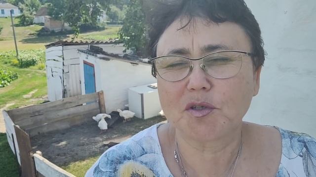 Украинское село ? У Тани непорядок ! Лавочка закрылась смотреть онлайн