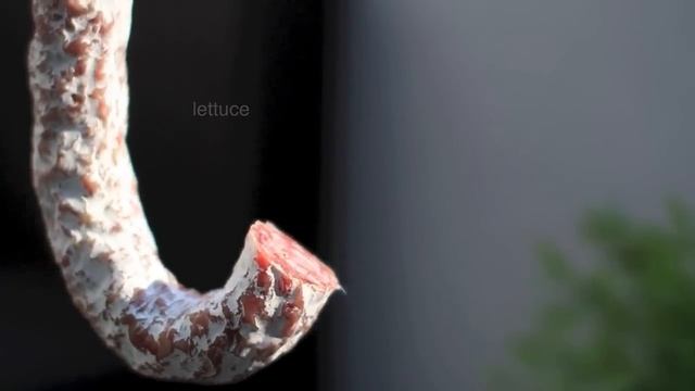 Canon EOS 7D - Sigma 50mm 1.4 Lens Testing смотреть онлайн