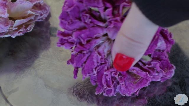 Making Peony Tea With Peonies From My Garden