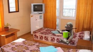 БЕЗОПАСНОСТИ ОТ ЧЕРЕПУХУСА 7!