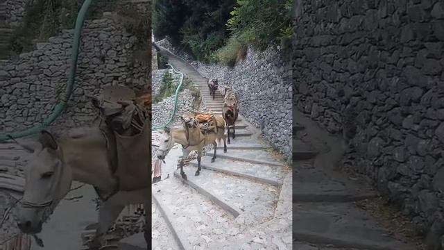 Святая Гора Афон смотреть онлайн