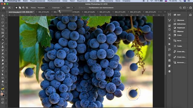 Вырезаем объекты в Фотошоп | Панель инструментов photoshop | Урок 18 смотреть онлайн