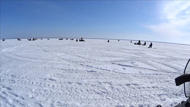 СУДАК В ХОРОШУЮ ПОГОДУ / ПОДВОДНАЯ СЬЁМКА ЯЗЬ 52 / ПОГОДА СУПЕР ЛОВЯТ ВСЕ. НО МЕЛОЧЬ смотреть онлайн