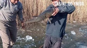 Qishda balıq 🐟 ovi. Muzda baliq 🐟🐟🐟 ovlash.Зимняя рыбалка#baliq #fishing #рыбалка
