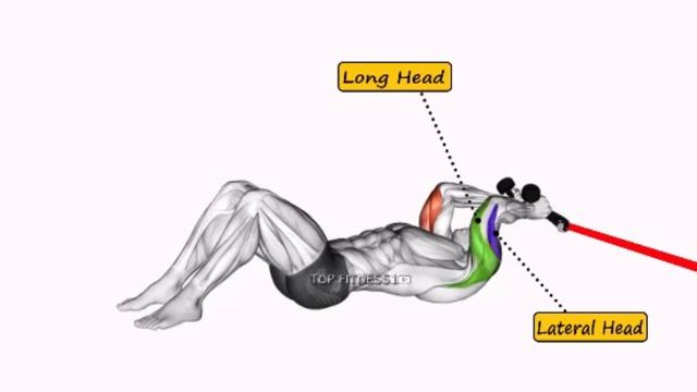 10 MN Resistance Bands Workout At Home ? Elastic Band смотреть онлайн