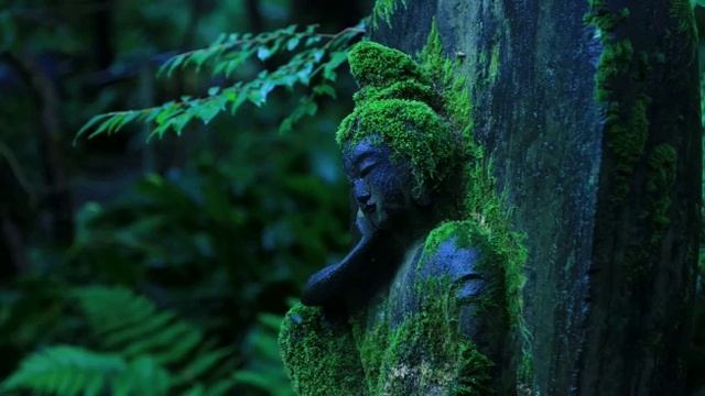 Buddha status new whatsapp status смотреть онлайн