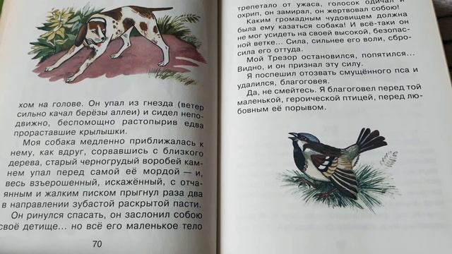 Иван Тургенев. "Воробей" смотреть онлайн