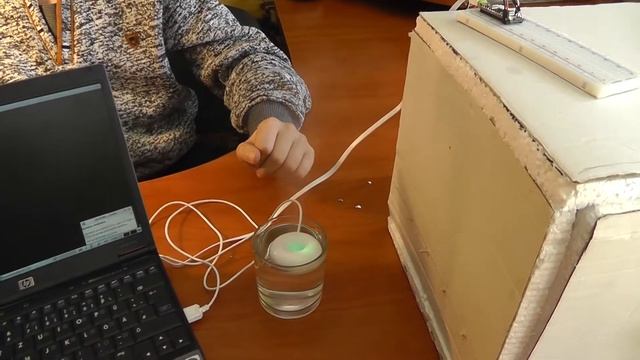 Влажность в инкубаторе! Цыплята из магазинных яиц! Ультразвуковой увлажнитель! #инкубатор смотреть онлайн