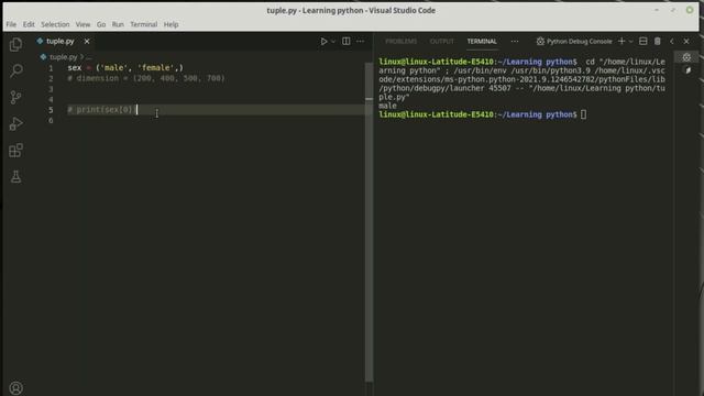 python tutorial for beginners #9 - python tuple [everything about tuple in python] смотреть онлайн