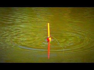 Рыбалка на карася. Ловля на поплавочную удочку. Эксперимент: без прикормки.