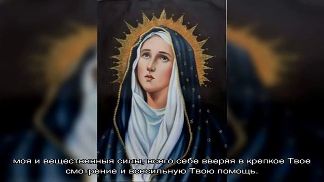 Молитва Божьей Матери о неустанной помощи смотреть онлайн