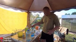 Выращиваем хлореллу для своего пруда на даче. Как вырастить хлореллу в домашних условиях