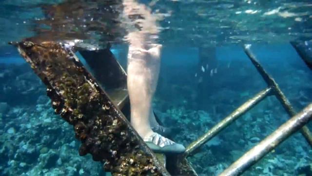 снорклинг в дахабе смотреть онлайн