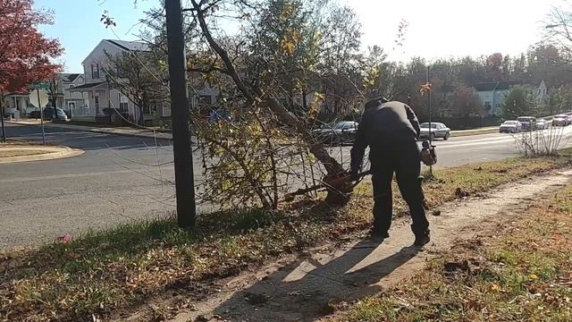 Extreme School Makeover! Helping out with OVERGROWN GRASS, EDGING and TREES! [NEGLECTED PLAYGROUND] смотреть онлайн