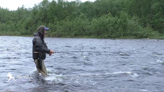 ЛОСОСЕВАЯ РЫБАЛКА на СЕВЕРЕ. КОЛЬСКИЙ ПОЛУОСТРОВ. РЕКА УРА!!!)) ЧАСТЬ 3. смотреть онлайн
