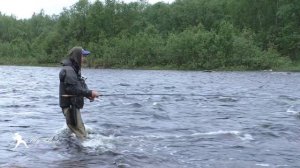 ЛОСОСЕВАЯ РЫБАЛКА на СЕВЕРЕ. КОЛЬСКИЙ ПОЛУОСТРОВ. РЕКА УРА!!!)) ЧАСТЬ 3.