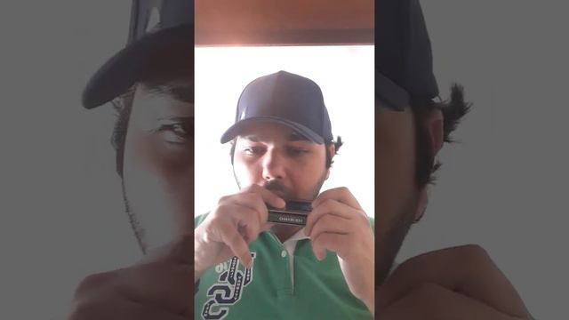 Marcelo tocando a música Samurai na gaita Hering Special! смотреть онлайн
