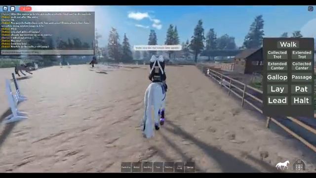 Doing Jumping with a world champion!(Maple Springs Eventing) смотреть онлайн