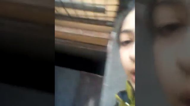 Дача эльзы смотреть онлайн