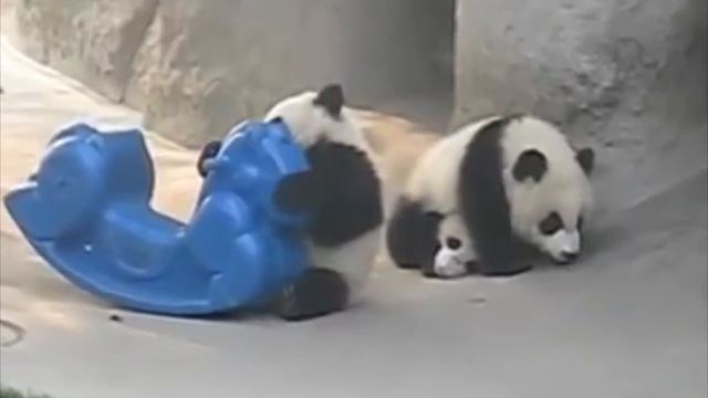 7 Интересных фактов о ПАНДАХ! смотреть онлайн