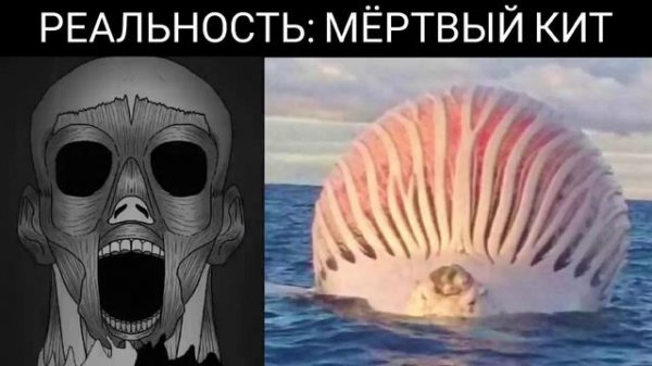 Ожидания VS реальность_