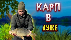 Рыбалка на флэт фидер ловля карпа на флэт фидер