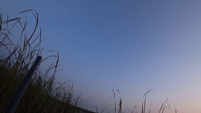 ОХОТА НА УТКУ И ЛЫСУХУ в Коробовке. смотреть онлайн