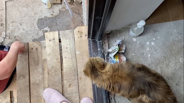 VLOG: МАМИНО ХОББИ/ в ГОСТЯХ у Дениса/СЕМЕЙНЫЙ ОБЕД/ШАШЛЫК И РЫБА на костре смотреть онлайн