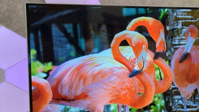 Телевизор Starwind 32 SW-LED32SG311