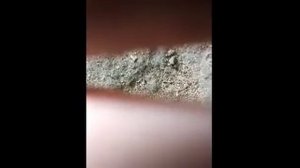 Стук СТАКАНЧИКОВ X-Trail T31