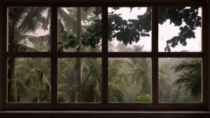 4K FAKE WINDOW : 10 HOURS  ⛈ ?  Tropical Storm with Rain & Thunder  ? ⛈ FOR PROJECTOR