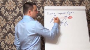 Порча черной вдовы