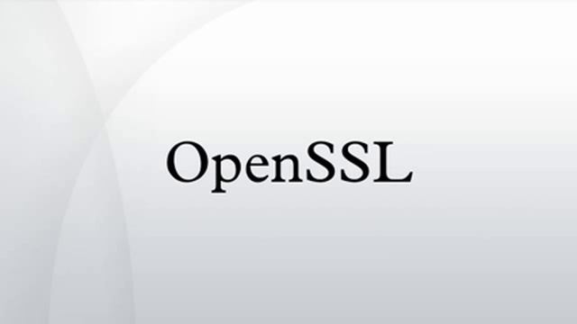 OpenSSL смотреть онлайн