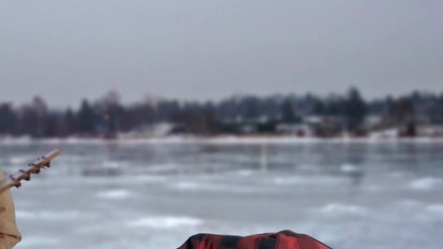 After The Burial's 12 Days of RIFF-MAS: Day 4 - Rareform смотреть онлайн
