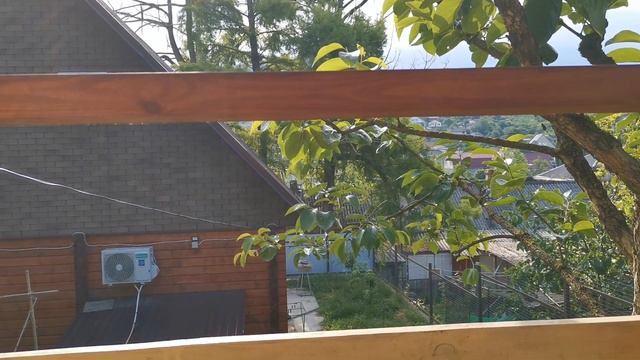 Сочи. Горное Лоо. Утро. +22°C. 15.06.2023г.© смотреть онлайн
