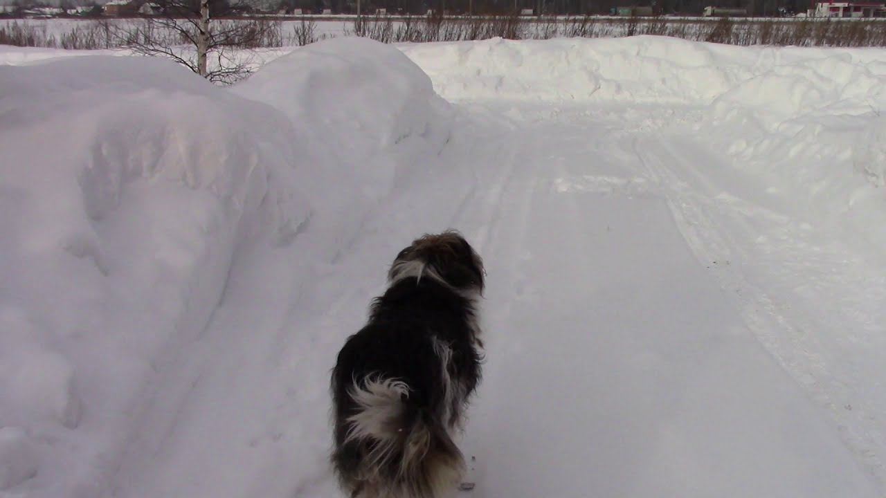 Дмитрий Рябов - Я хочу сказать