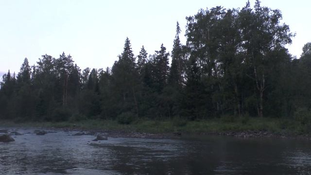 Горная река летнее утро. Mountain river summer morning смотреть онлайн