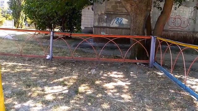 Пистолет с мыльными пузырями смотреть онлайн