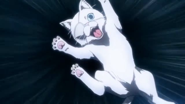 Taboo Tattoo「ＡＭＶ」Hated You From Hello смотреть онлайн