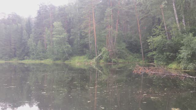 Центральный сибирский ботанический сад. Новосибирск. Академгородок. смотреть онлайн