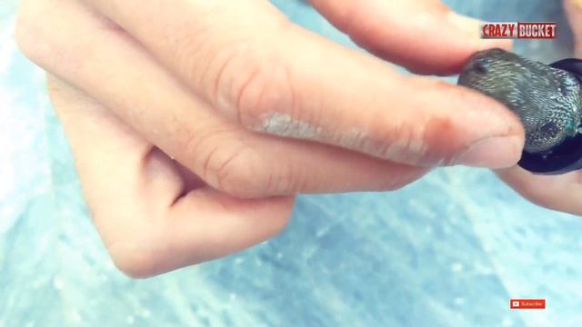 Honda CG 125 Special Edition 2023 Model || 1st Engine Oil Change plus Unboxing || Crazy Bucket смотреть онлайн