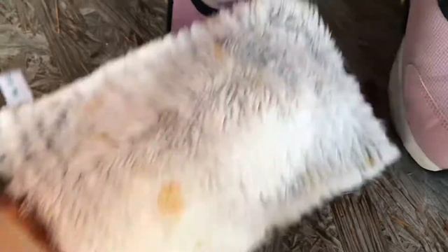 Всегда чистые и всегда новые кроссовки ! смотреть онлайн