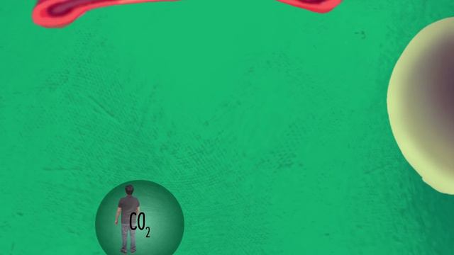 Photosynthesis - How Does Photosynthesis Happen? | Learn with BYJU'S смотреть онлайн